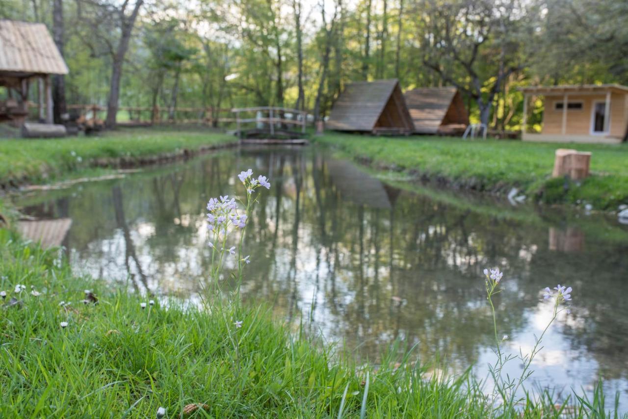 Kamp Na Otoku - Ljubno Ob Savinji Hotel Exterior foto